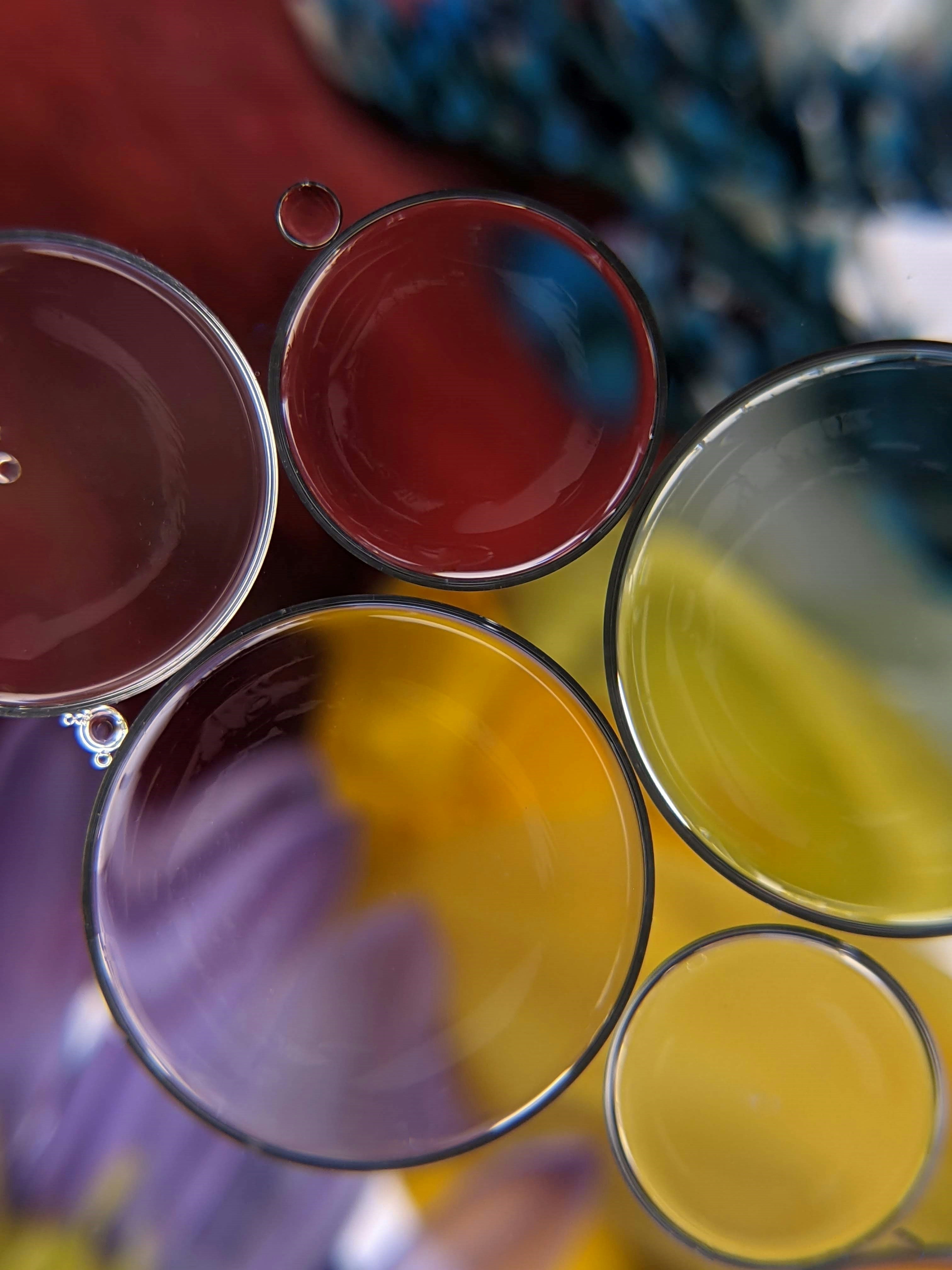 red yellow and green round glass