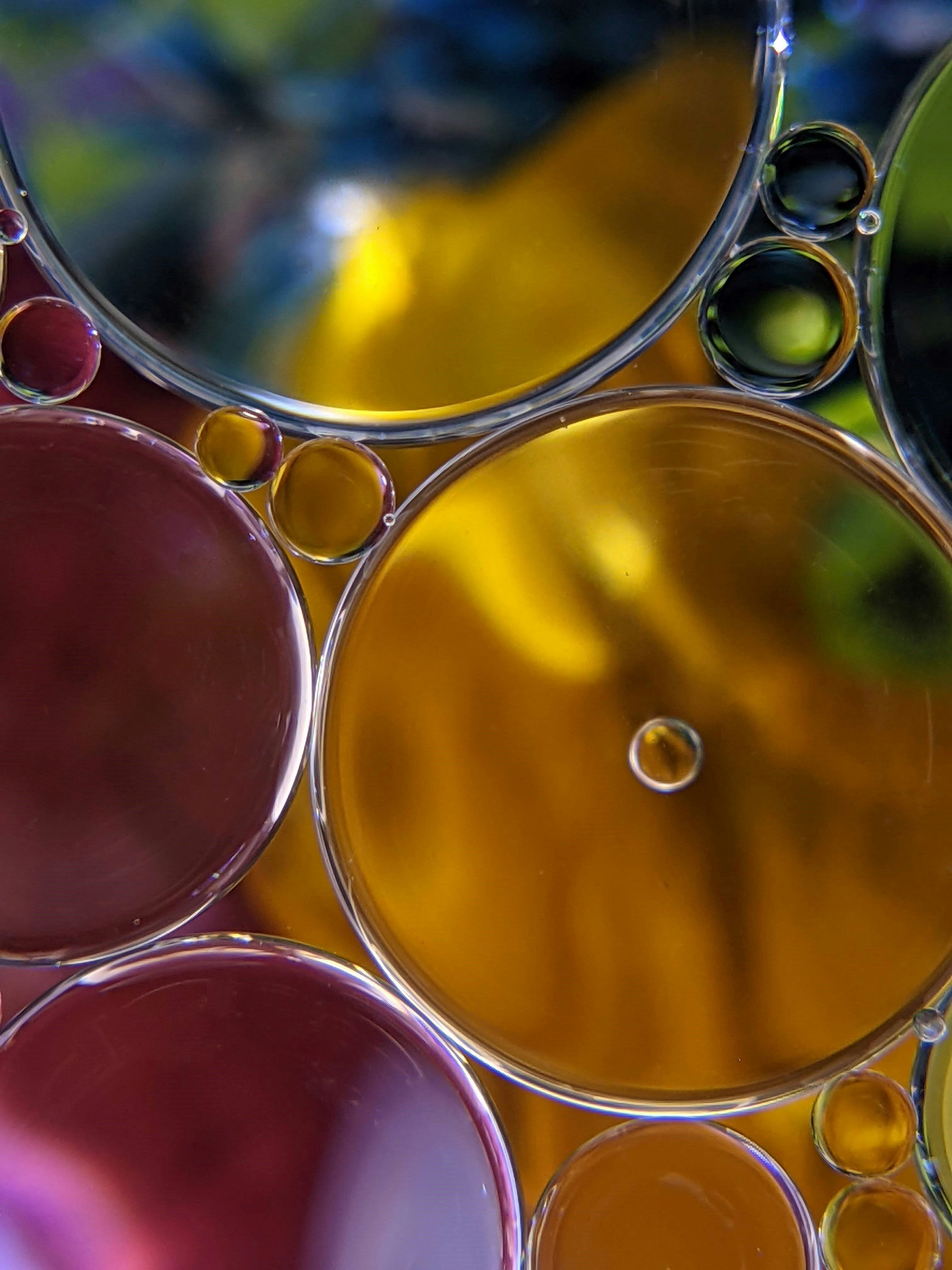 Photo by susan_wilkinson