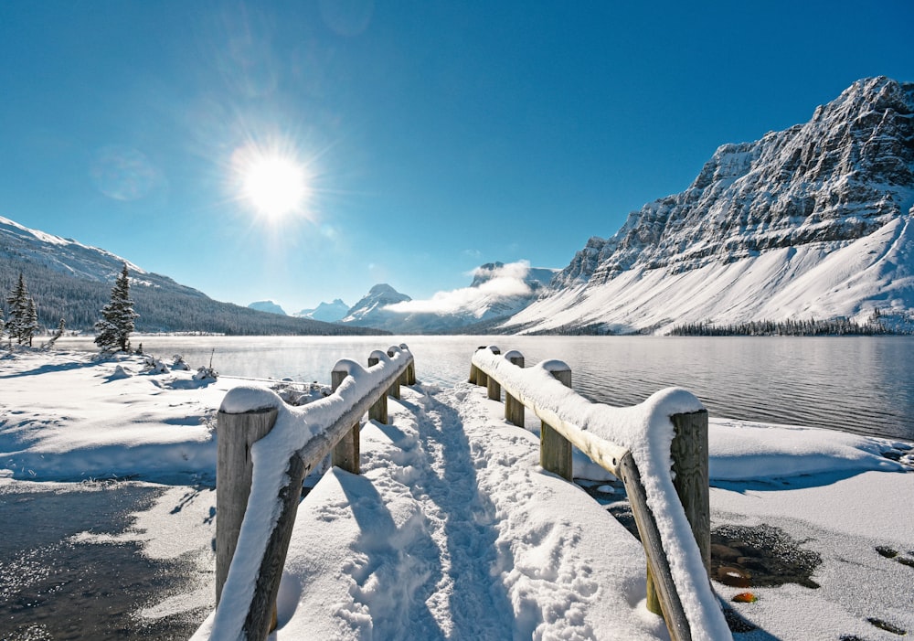 snow covered wooden bench on snow covered ground during daytime