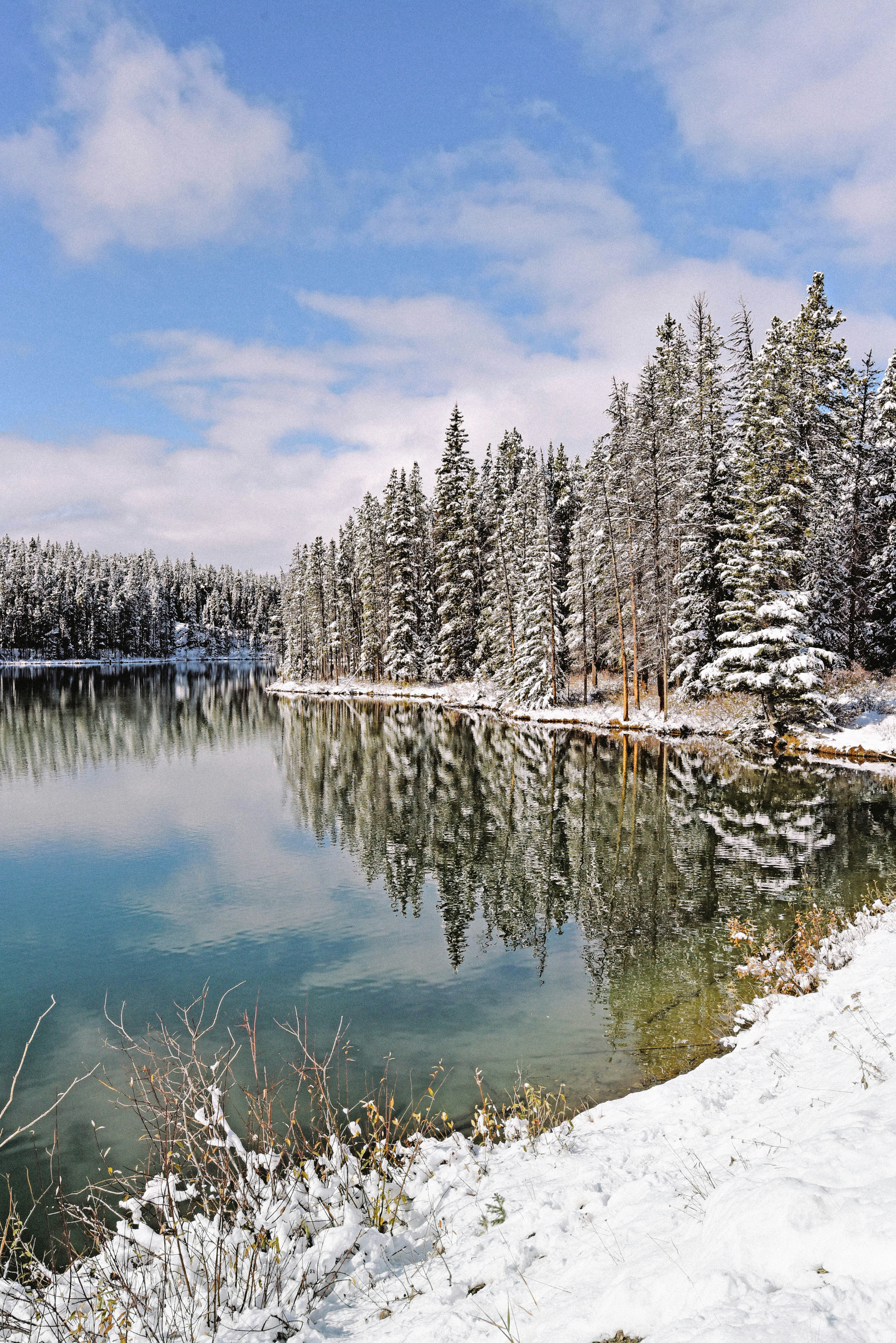 Photo by tommaomaoer