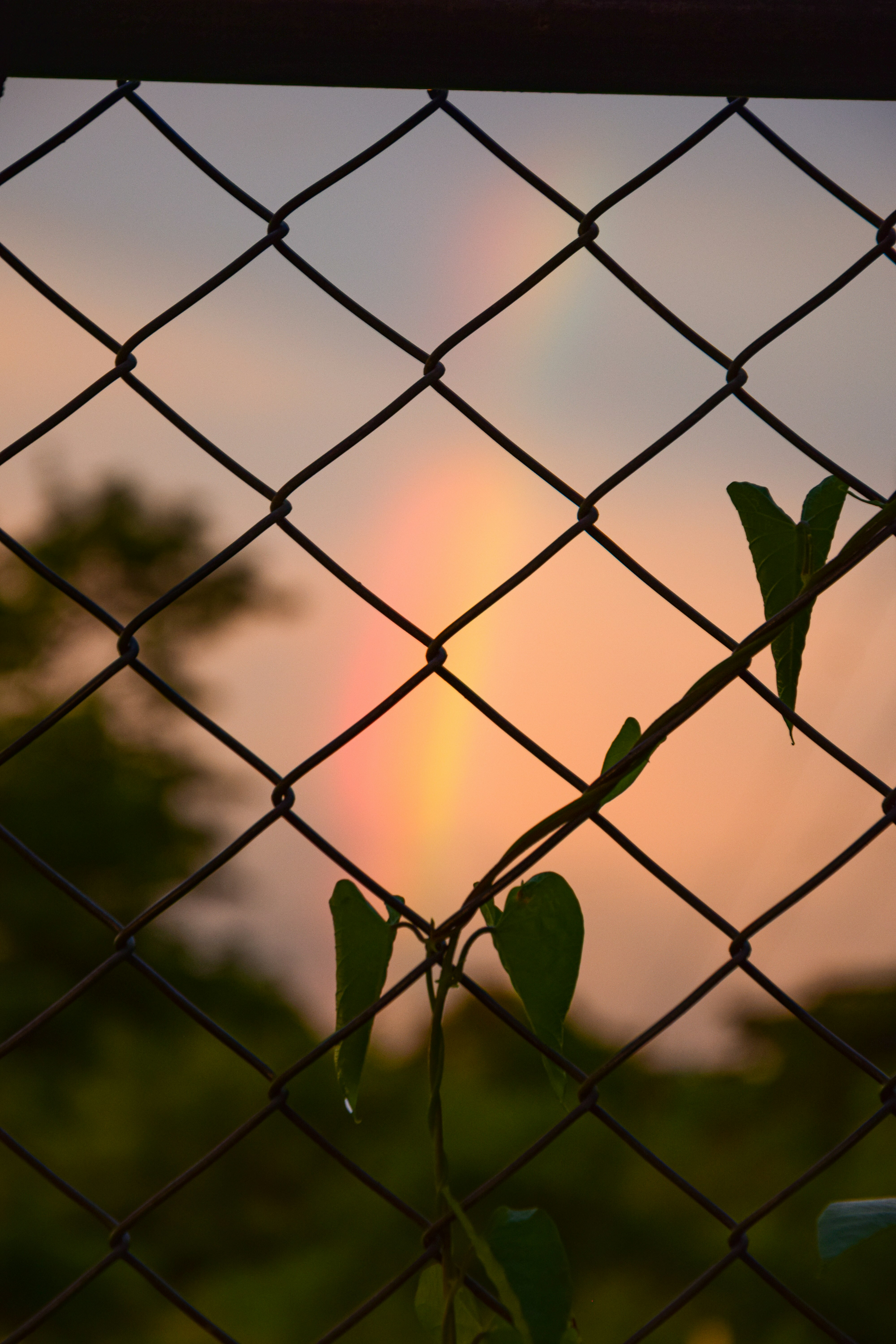The peace after the storm, Rainbow homebirth