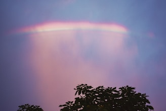 green leaves with rainbow in the sky