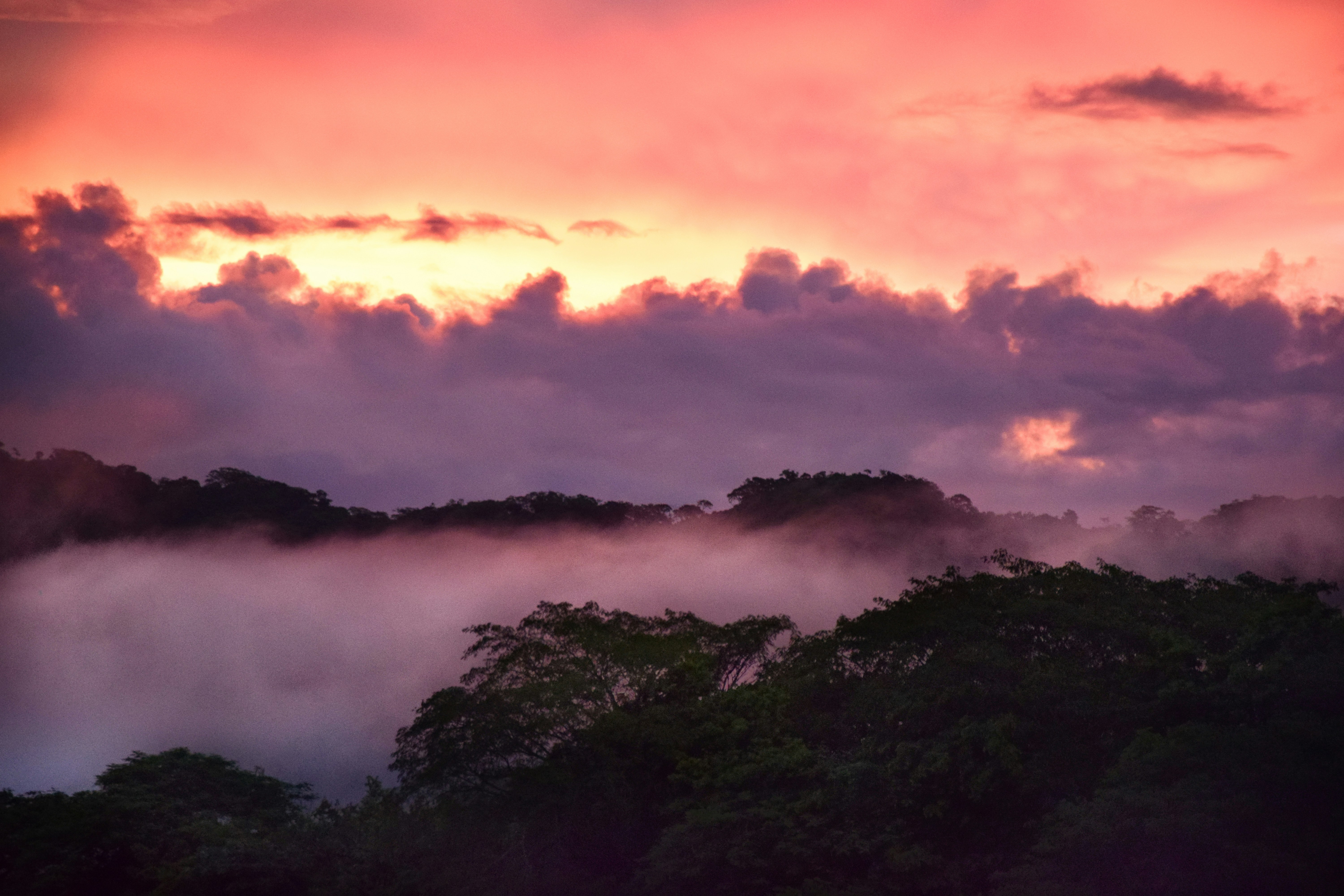 Photo by framesforyourheart