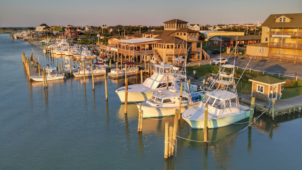 white and blue boats on dock during daytime