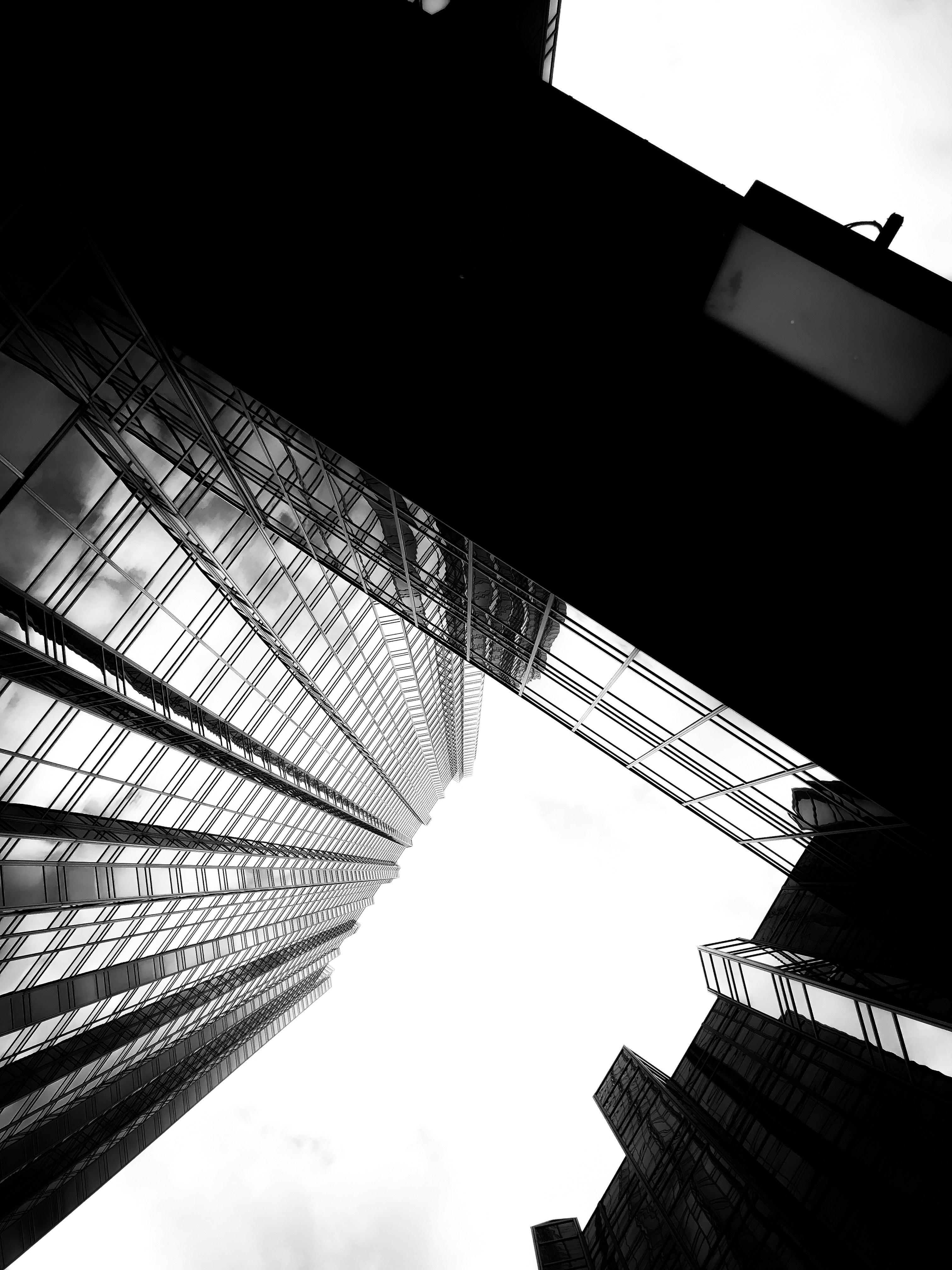 Photo by nietzsche99