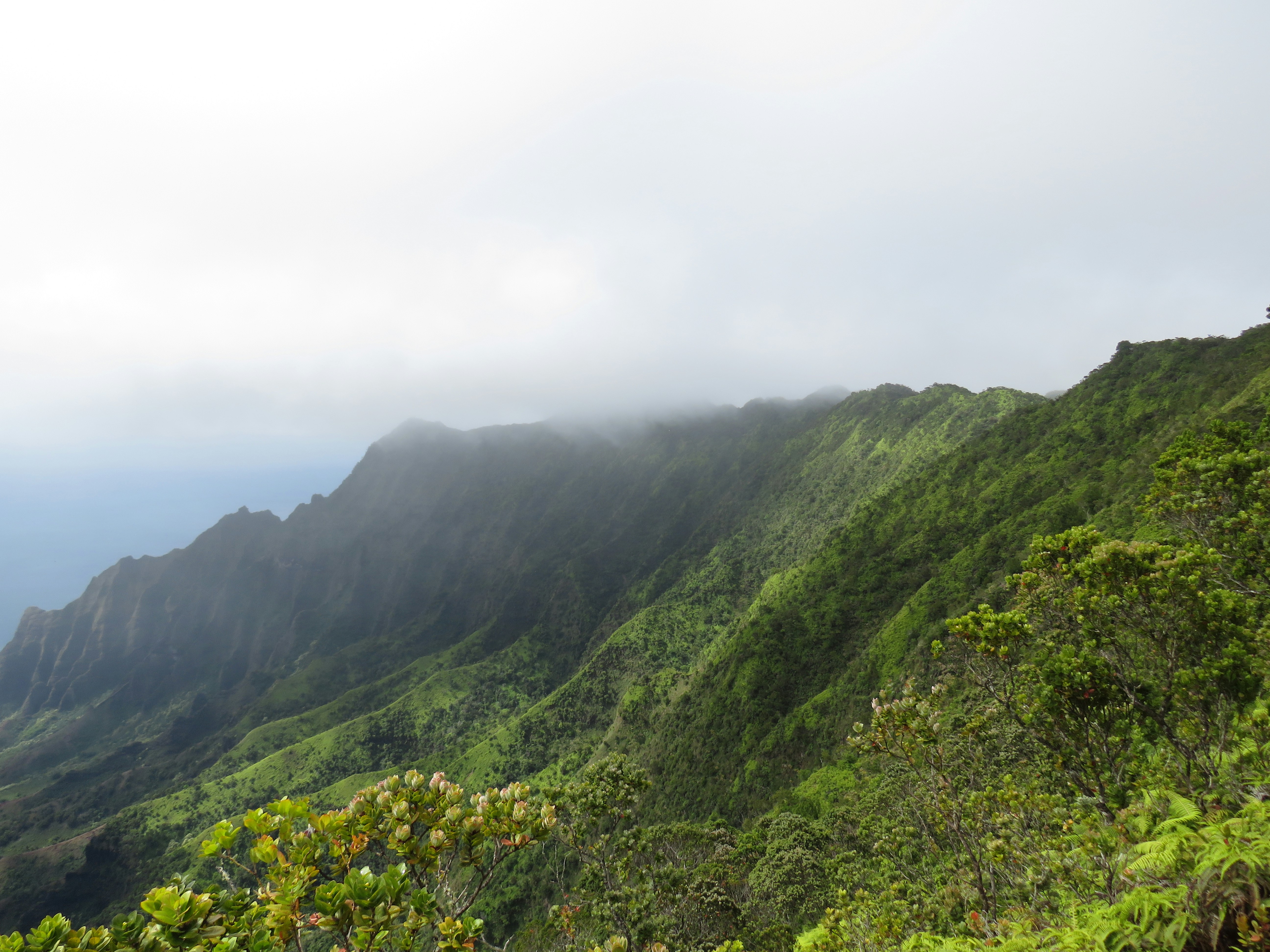 Photo by davidlangfyi