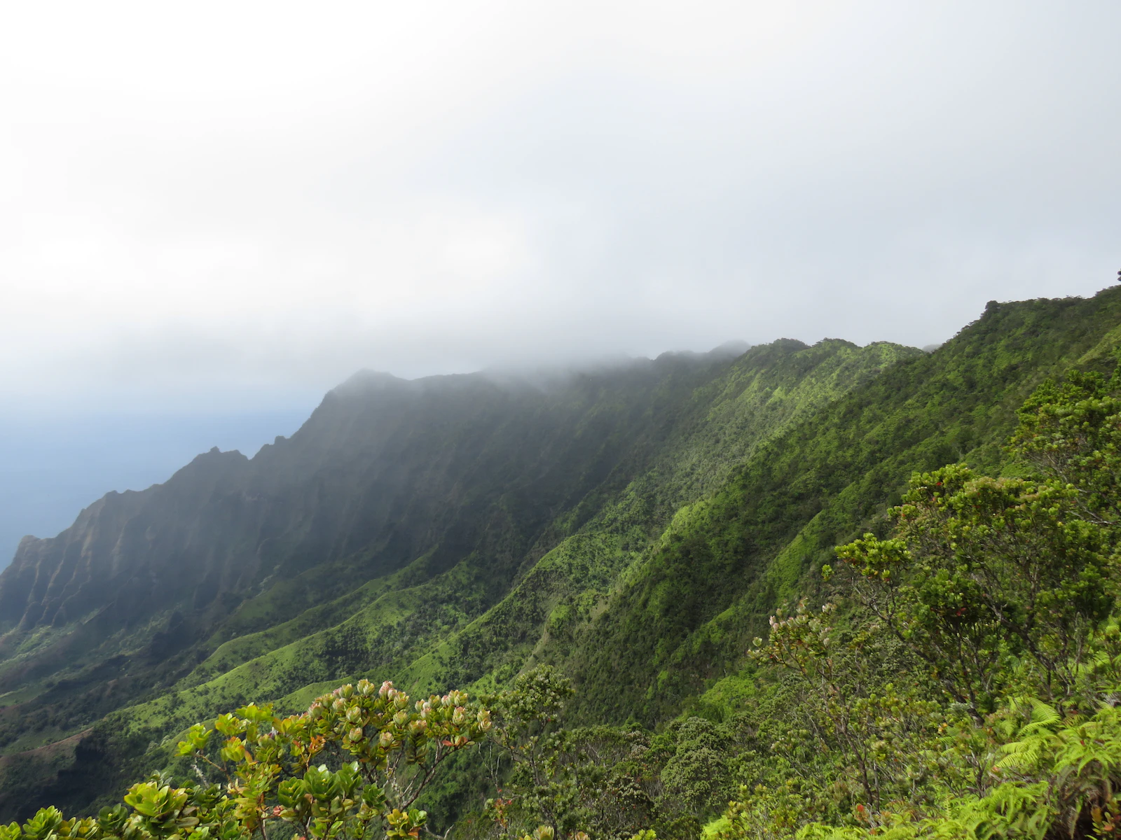 Green ridges of Kauai's Na Pali Coast meeting the Pacific beneath low clouds