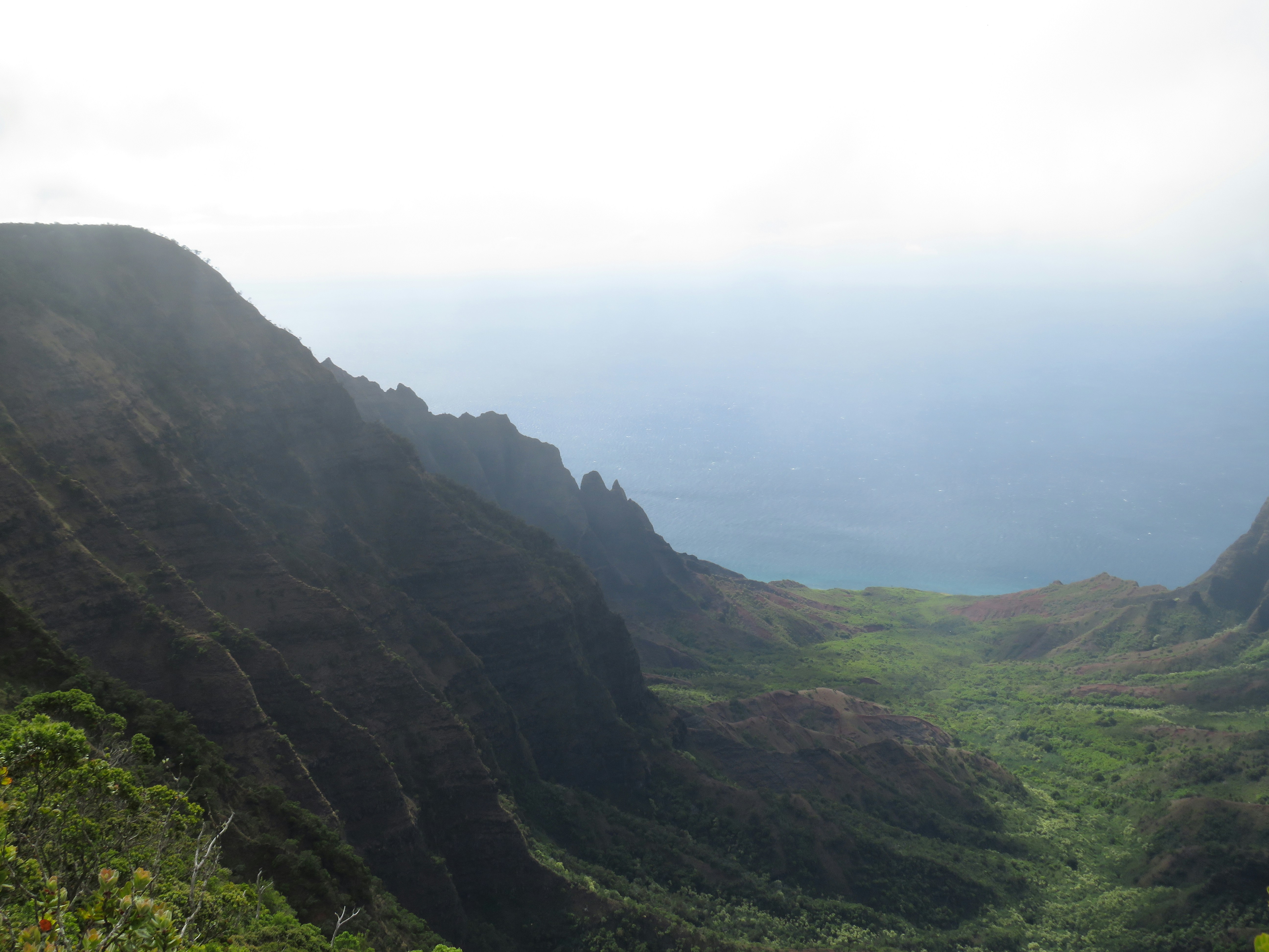 Photo by davidlangfyi