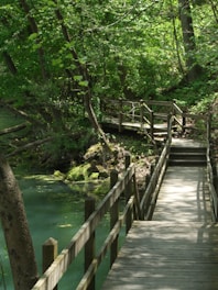 brown wooden bridge over river