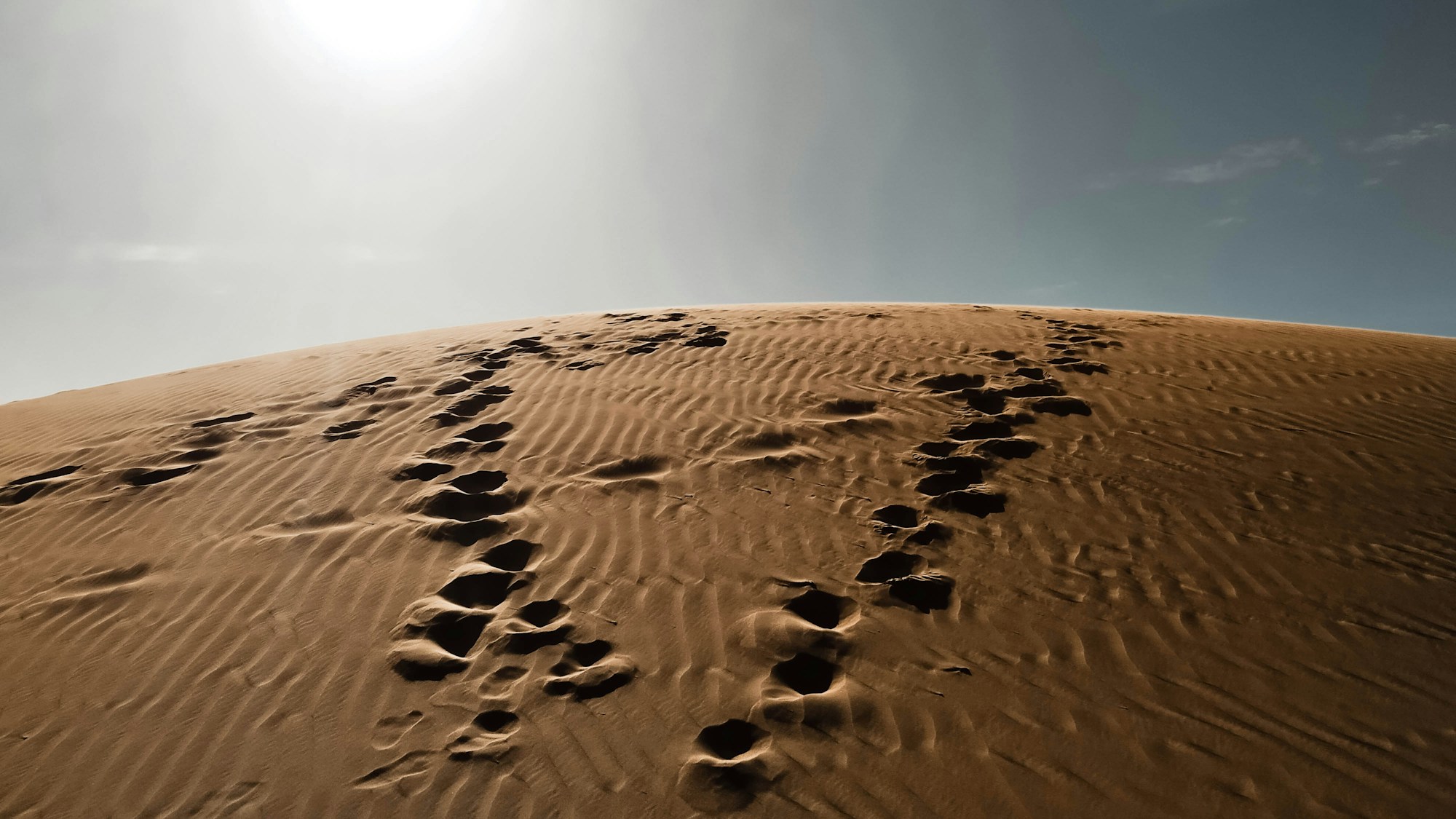 Best Time to Visit Sudan: Ideal Weather and Season Guide
