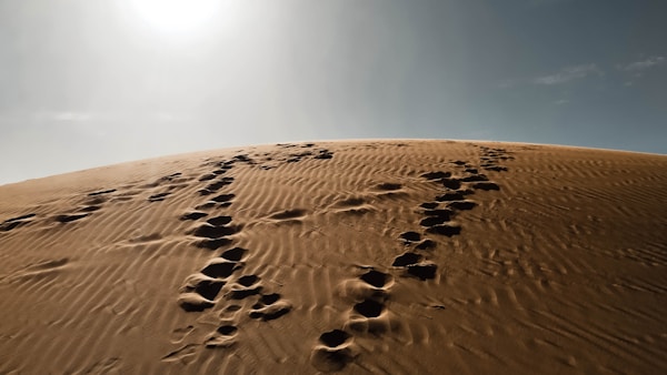 Best Time to Visit Sudan: Ideal Weather and Season Guide