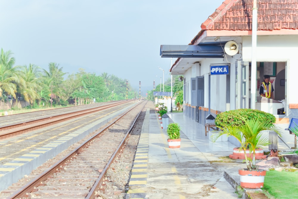 train rail near green plants during daytime