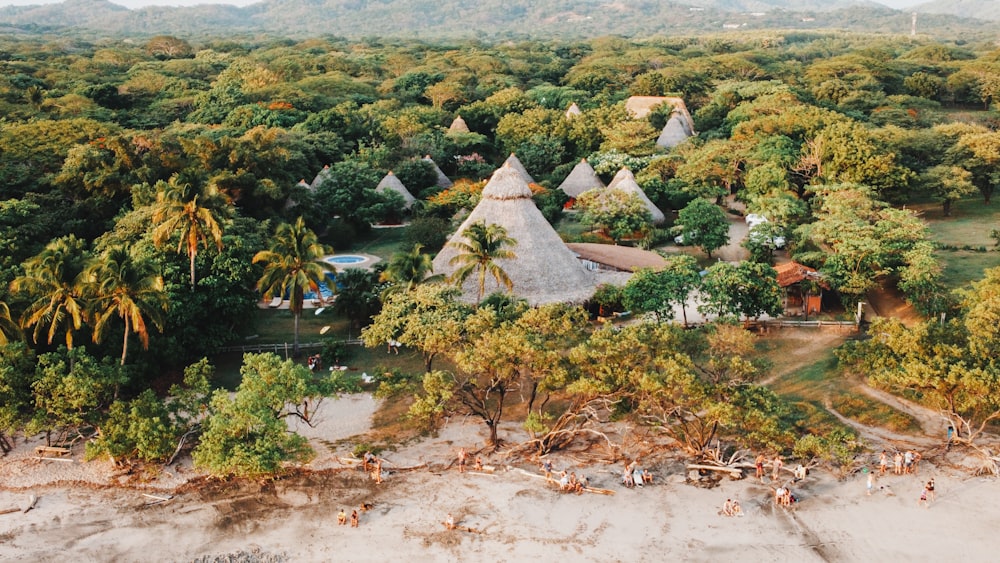 aerial view of green trees and brown house during daytime