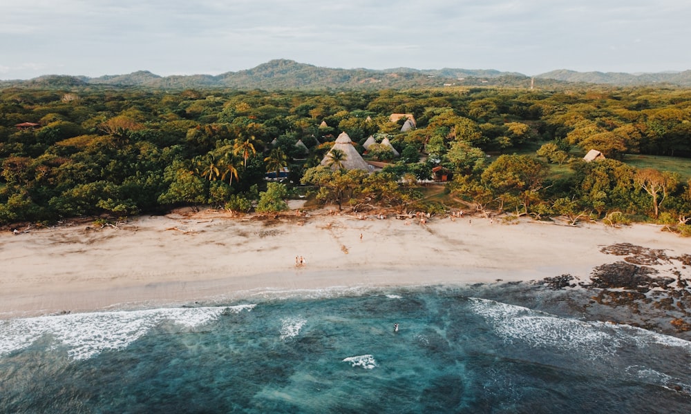 people on beach during daytime