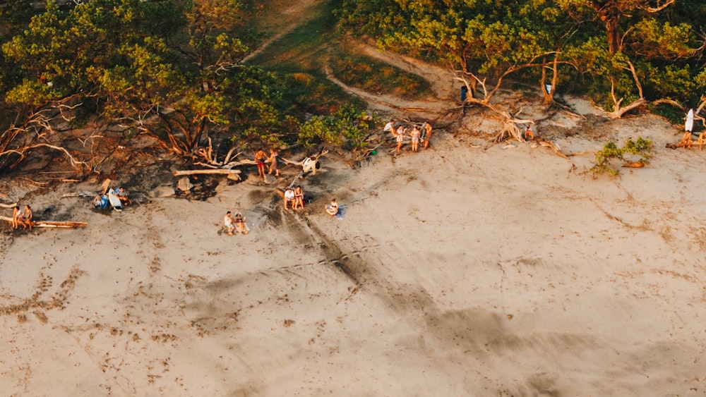 people walking on dirt road during daytime