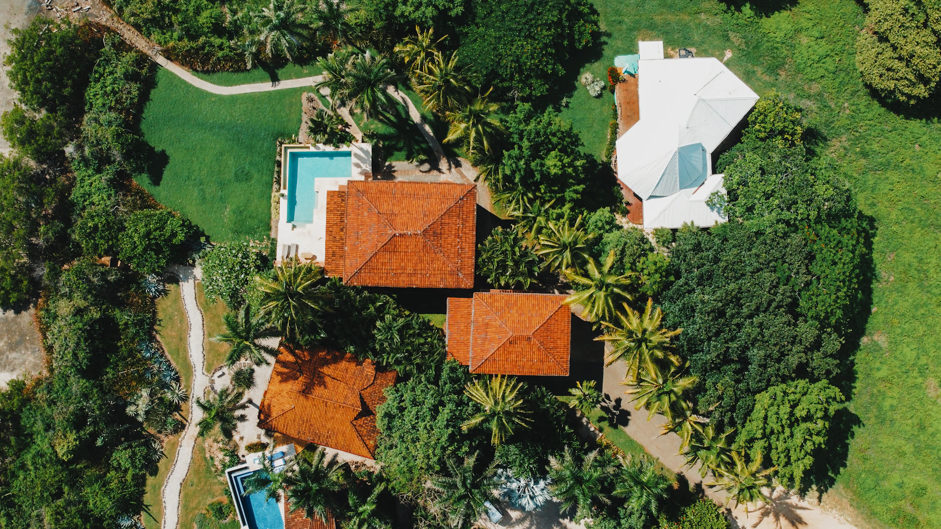 aerial view of green trees and brown and white house