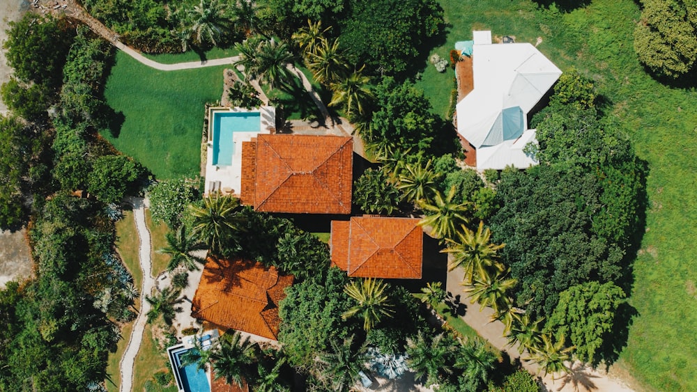 aerial view of green trees and brown and white house