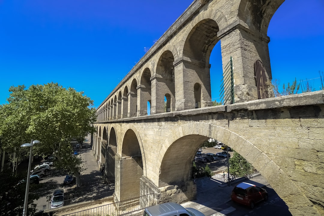 cars on road under bridge during daytime