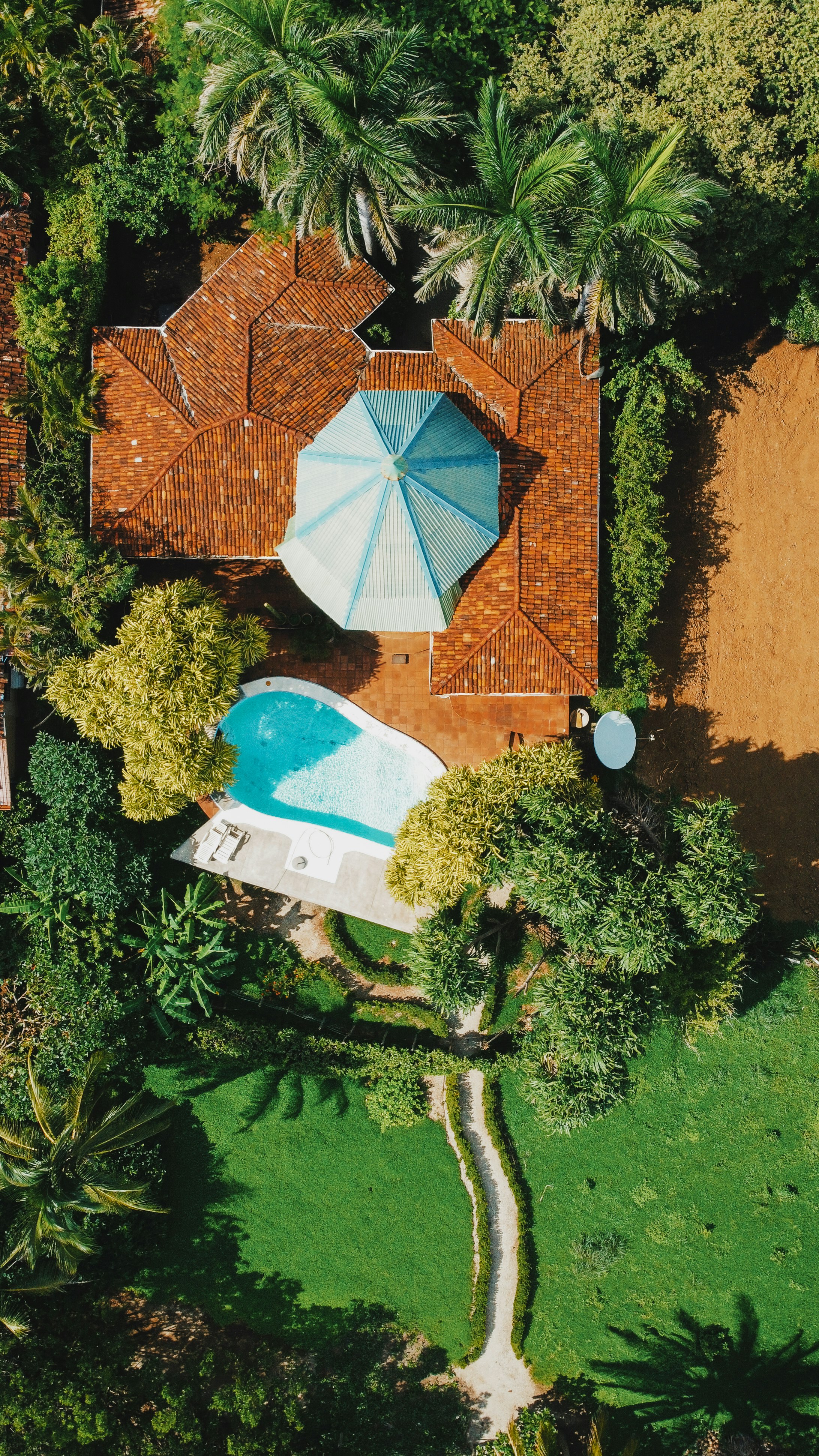 aerial view of swimming pool surrounded by green trees