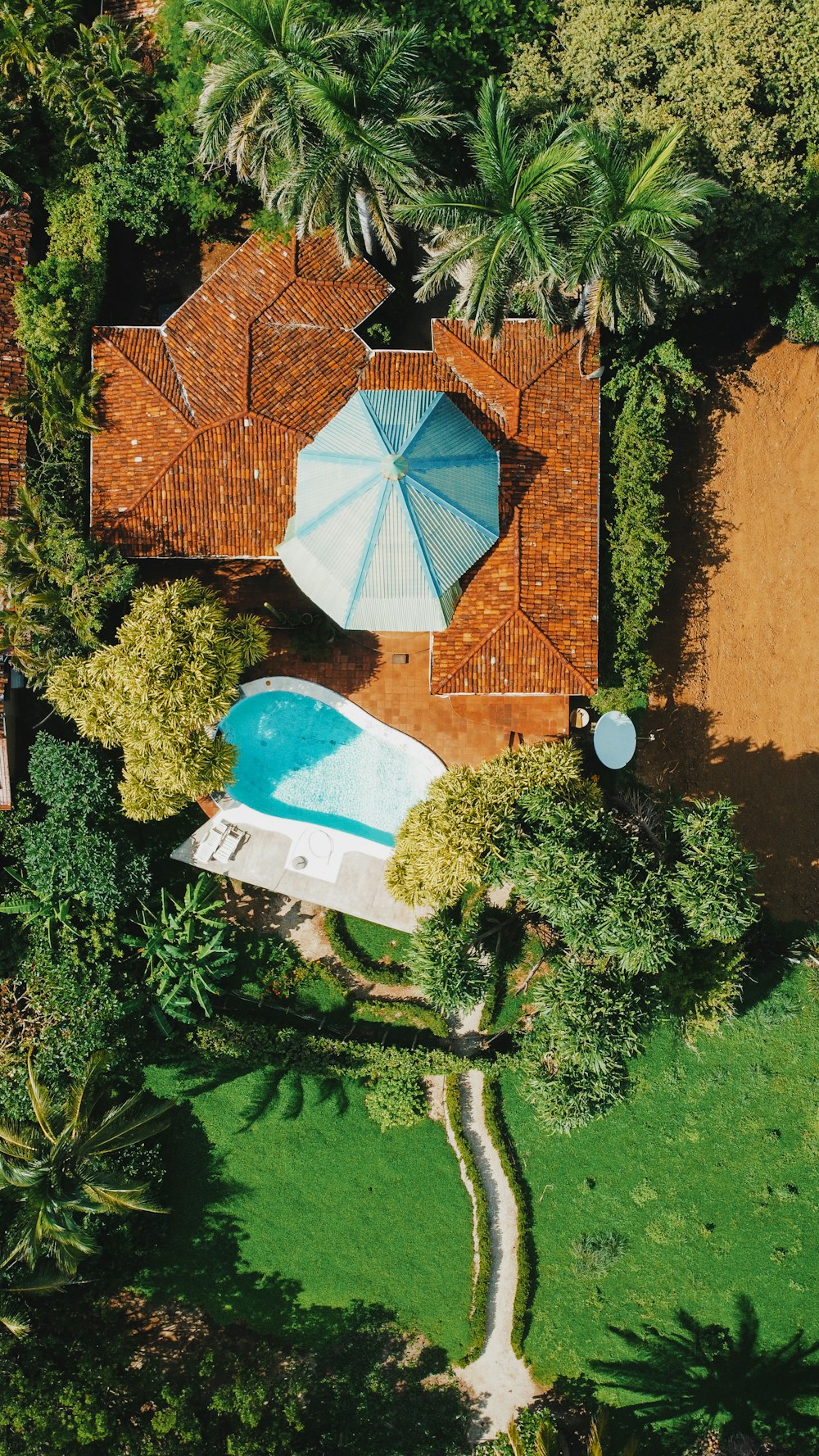 aerial view of swimming pool surrounded by green trees