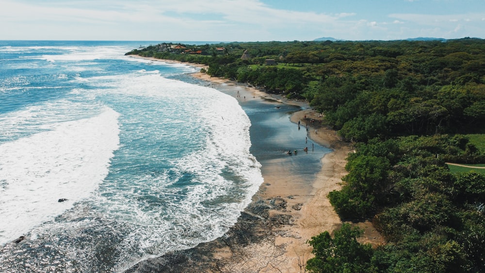 aerial view of beach during daytime