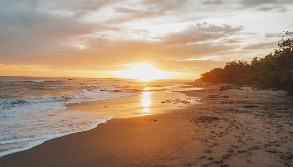 sea waves crashing on shore during sunset