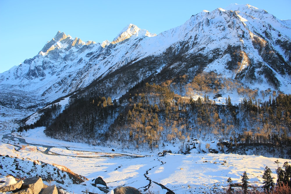 snow covered mountain during daytime