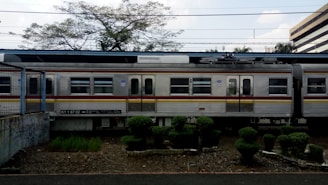 A train with multiple carriages is seen stationary on a railway track. The train is predominantly silver with a red and yellow line running horizontally along its side. There is a patch of well-maintained garden with neatly trimmed bushes in front of the train. The background includes some trees with sparse leaves and a building to the far right.