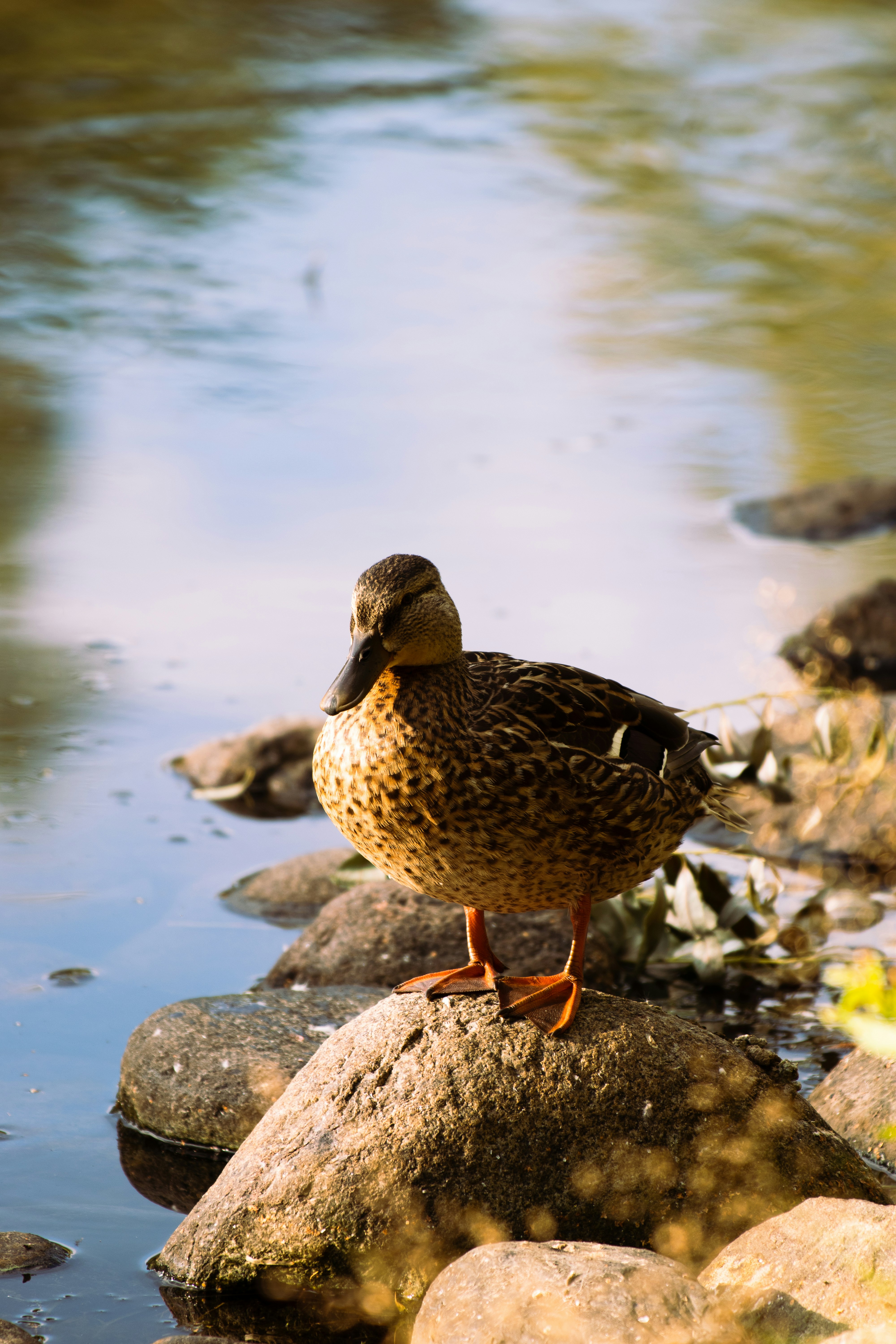 Photo by fleivophotography