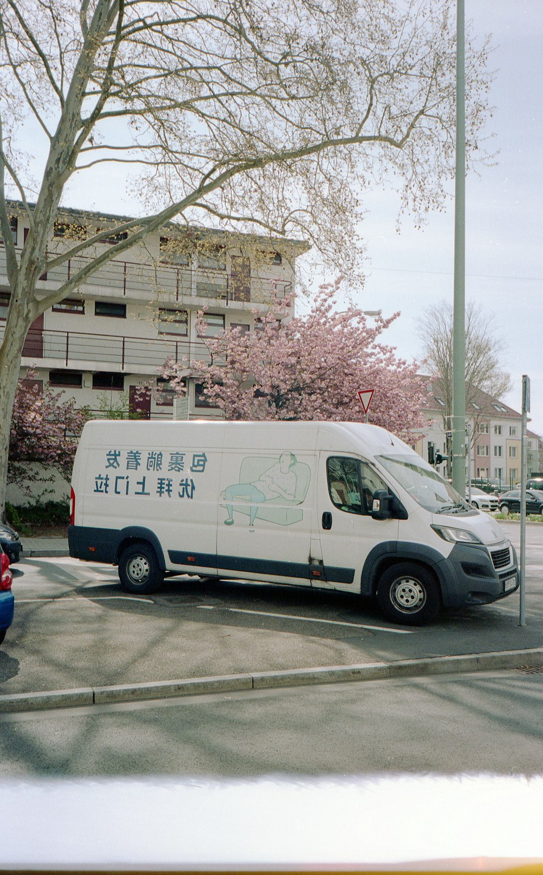 white van parked near bare trees during daytime