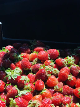 A vibrant close-up of ripe strawberries basking in the sunlight at a local Solana Beach farm.