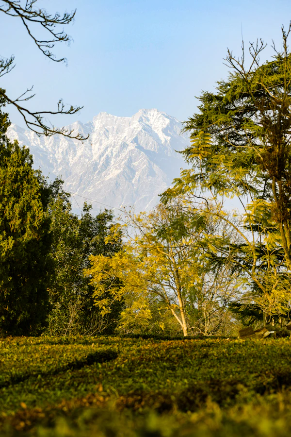 Himalayan valley