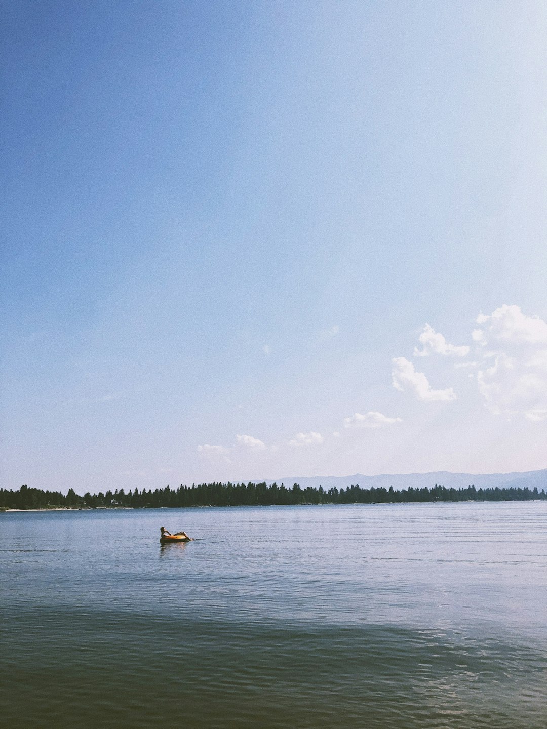 white and brown dog on body of water during daytime