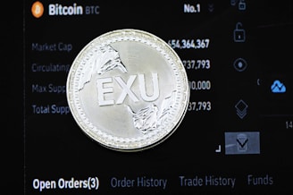 gold and silver round coin