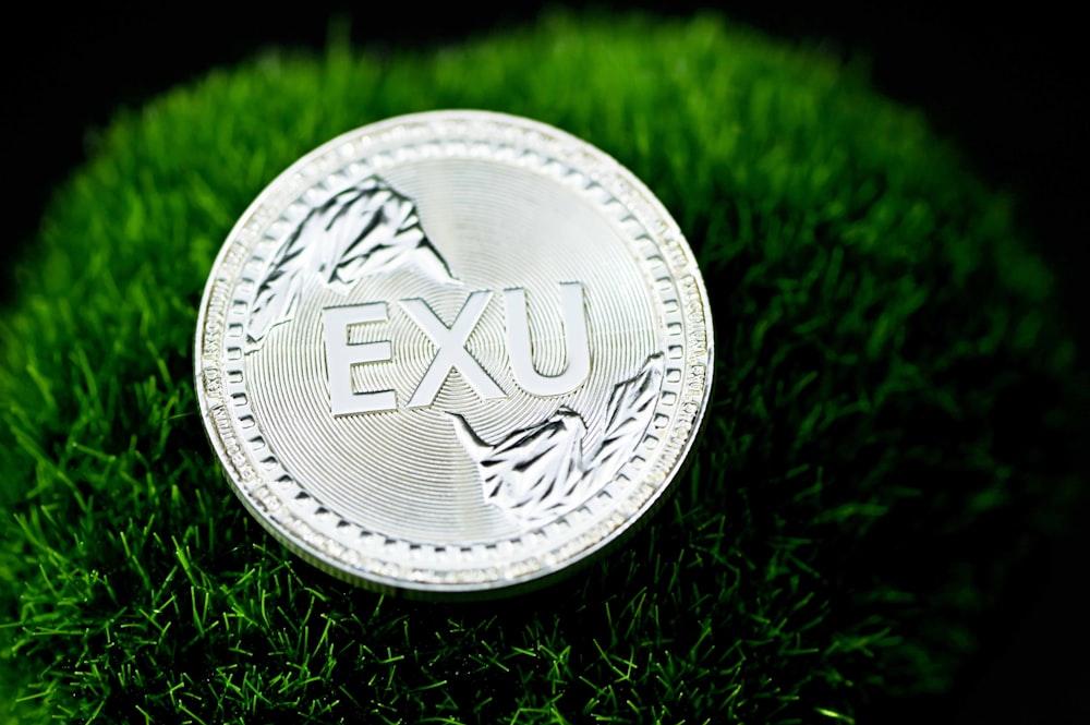 silver round coin on green grass