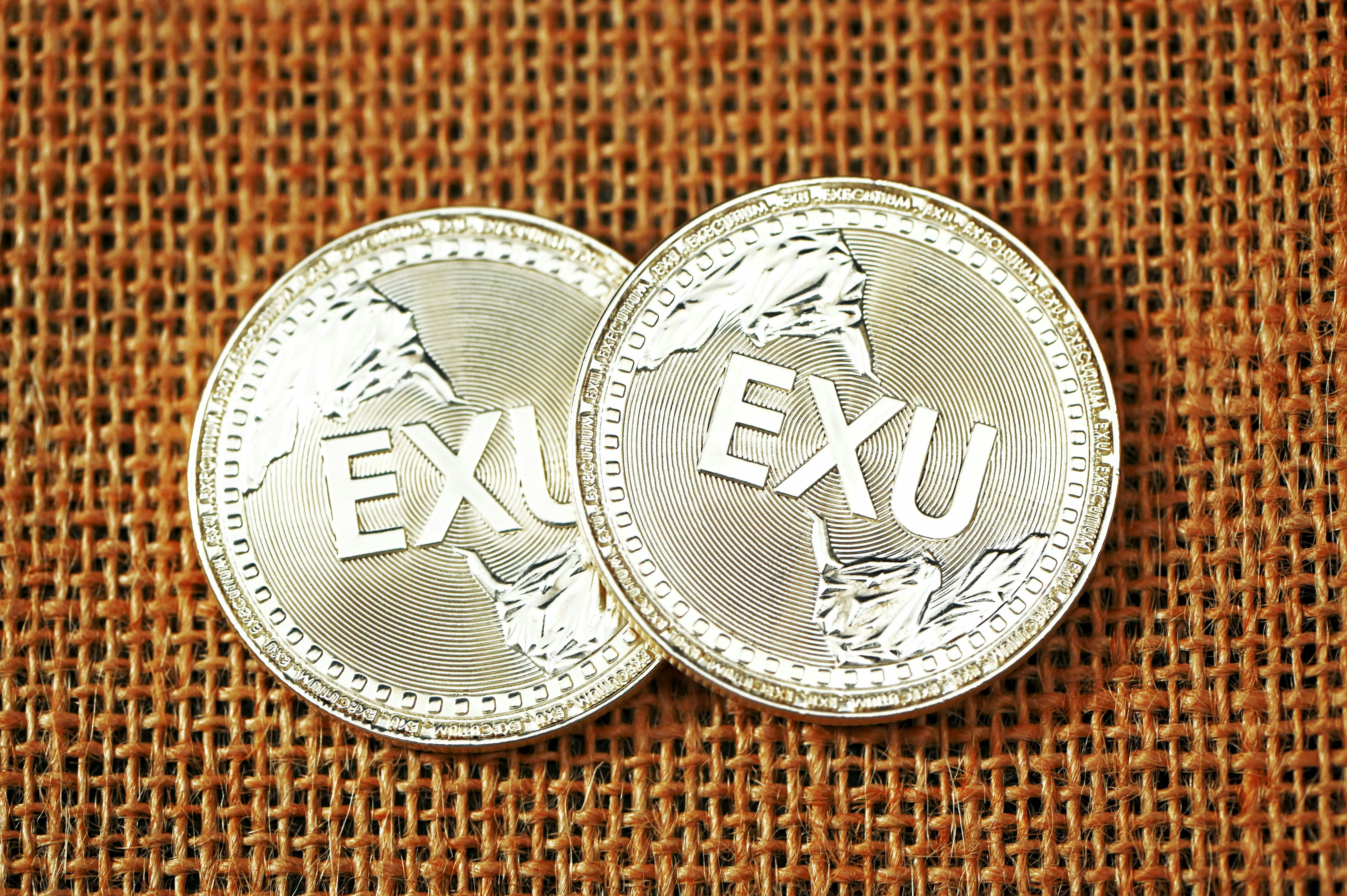 silver and black round coin