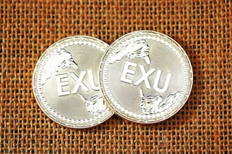 silver and black round coin