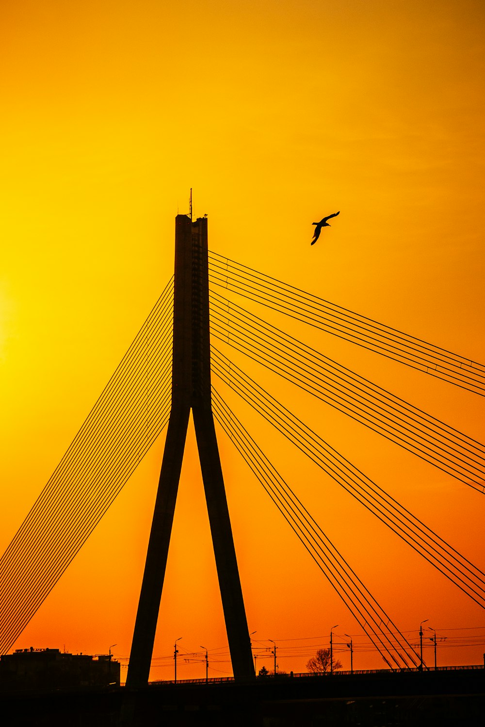 silhouette of birds flying over the bridge