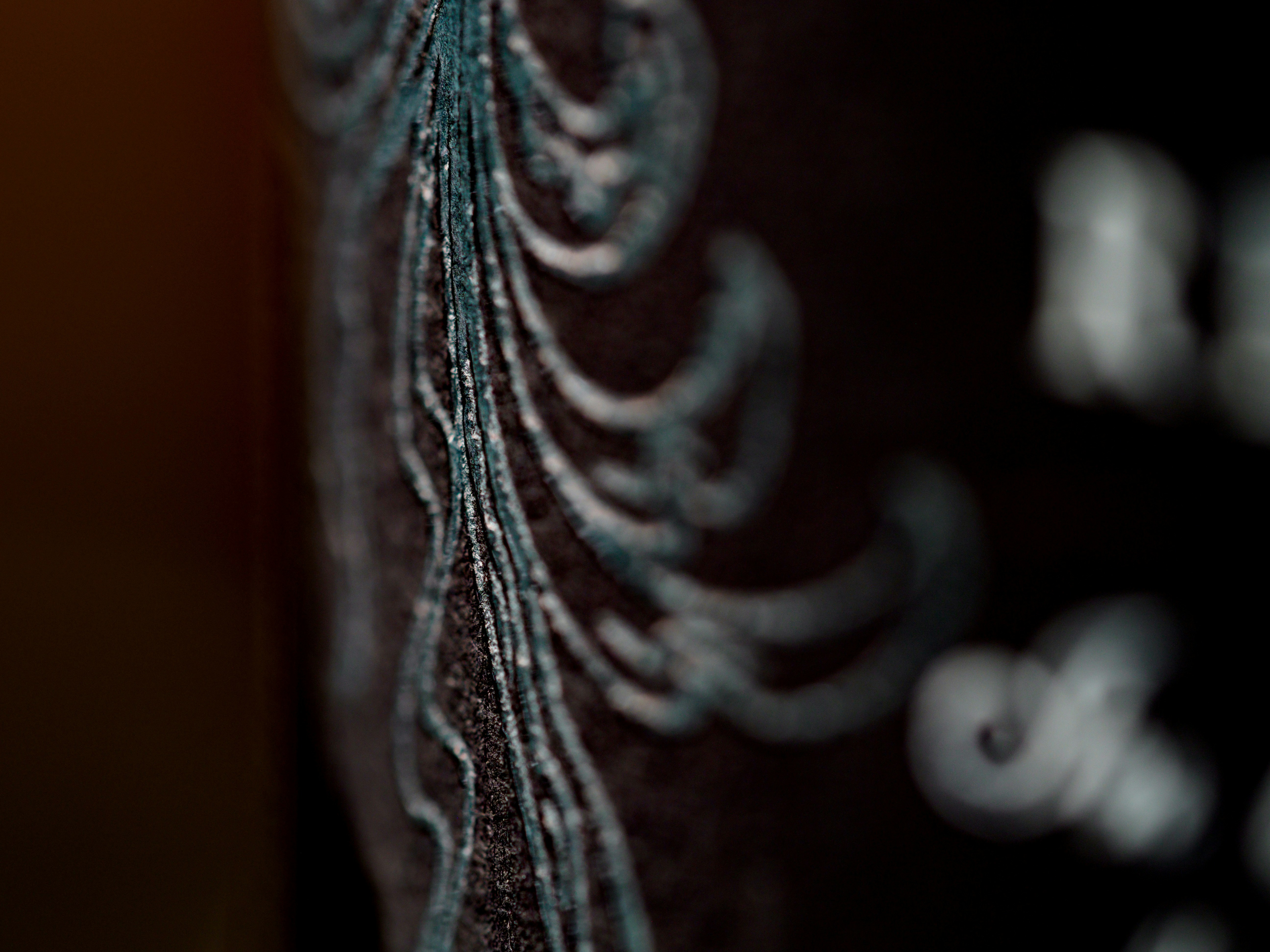 Photo by brett_jordan