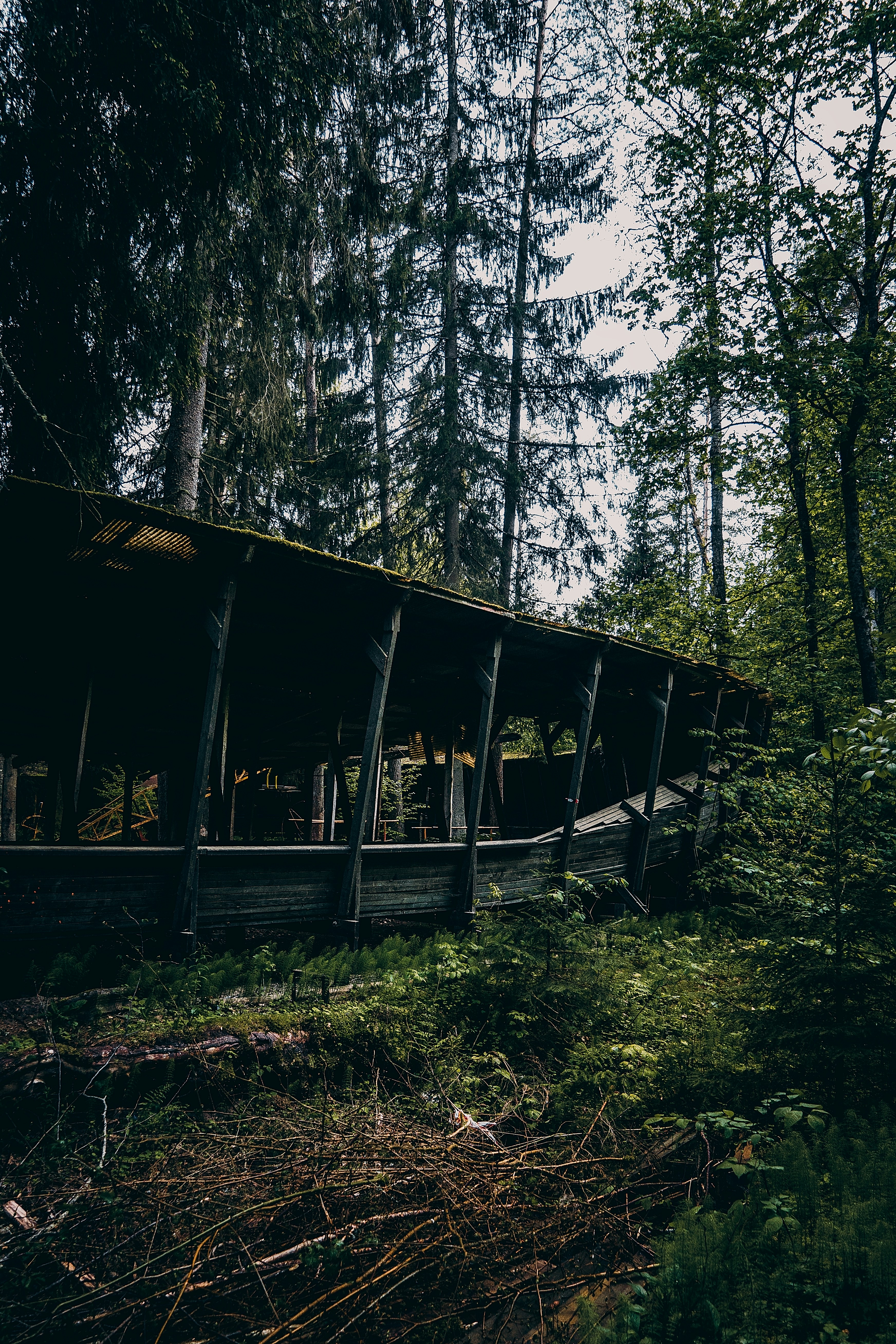 Photo by rampeids