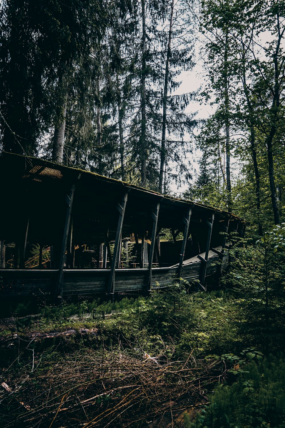 brown wooden bridge over green trees during daytime