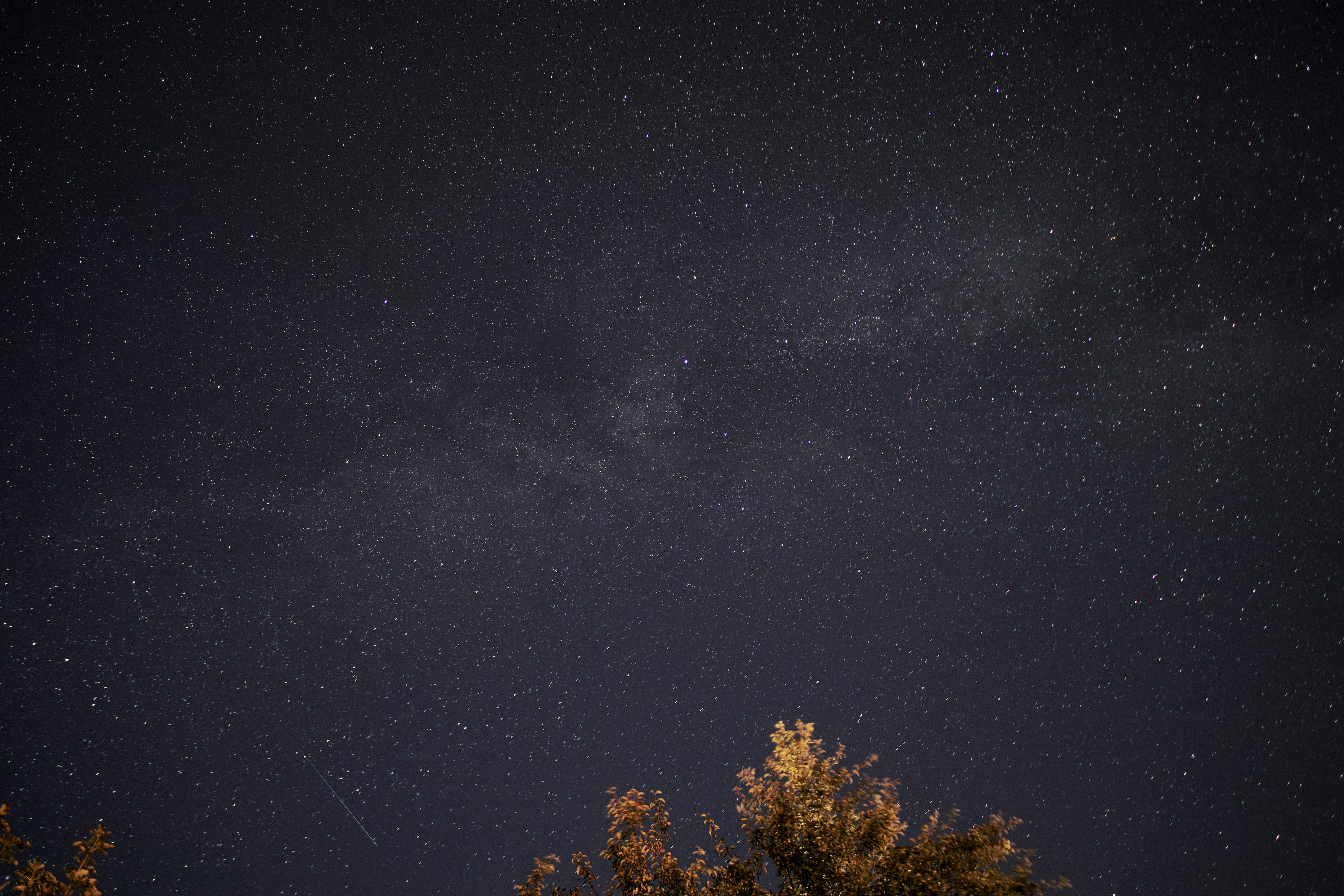 Photo by sonysnaper