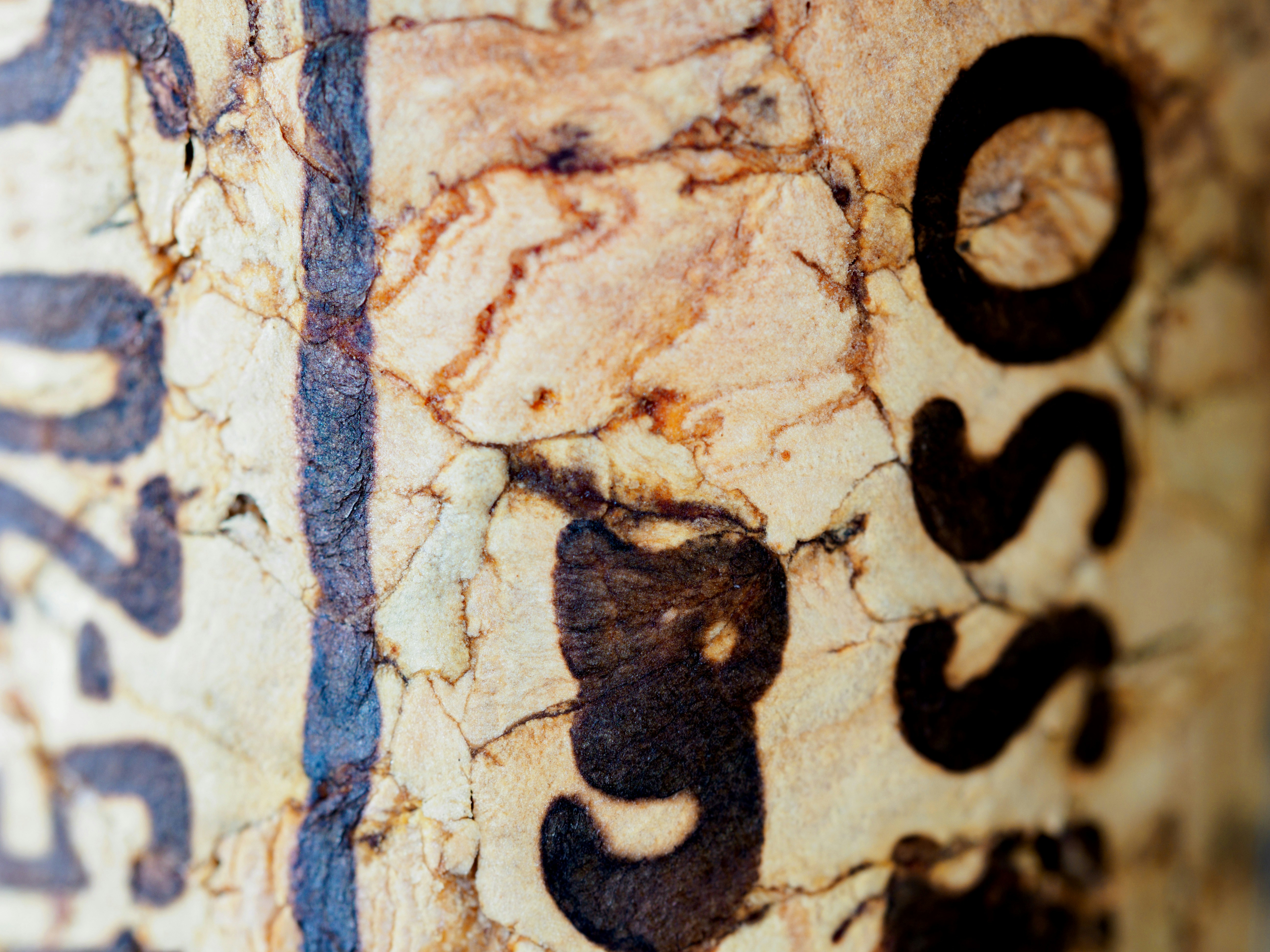 Photo by brett_jordan