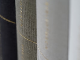 Close-up of a beautifully designed book cover with textured, muted colors.