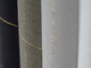A close-up of the book cover featuring warm, earthy tones and bold typography.