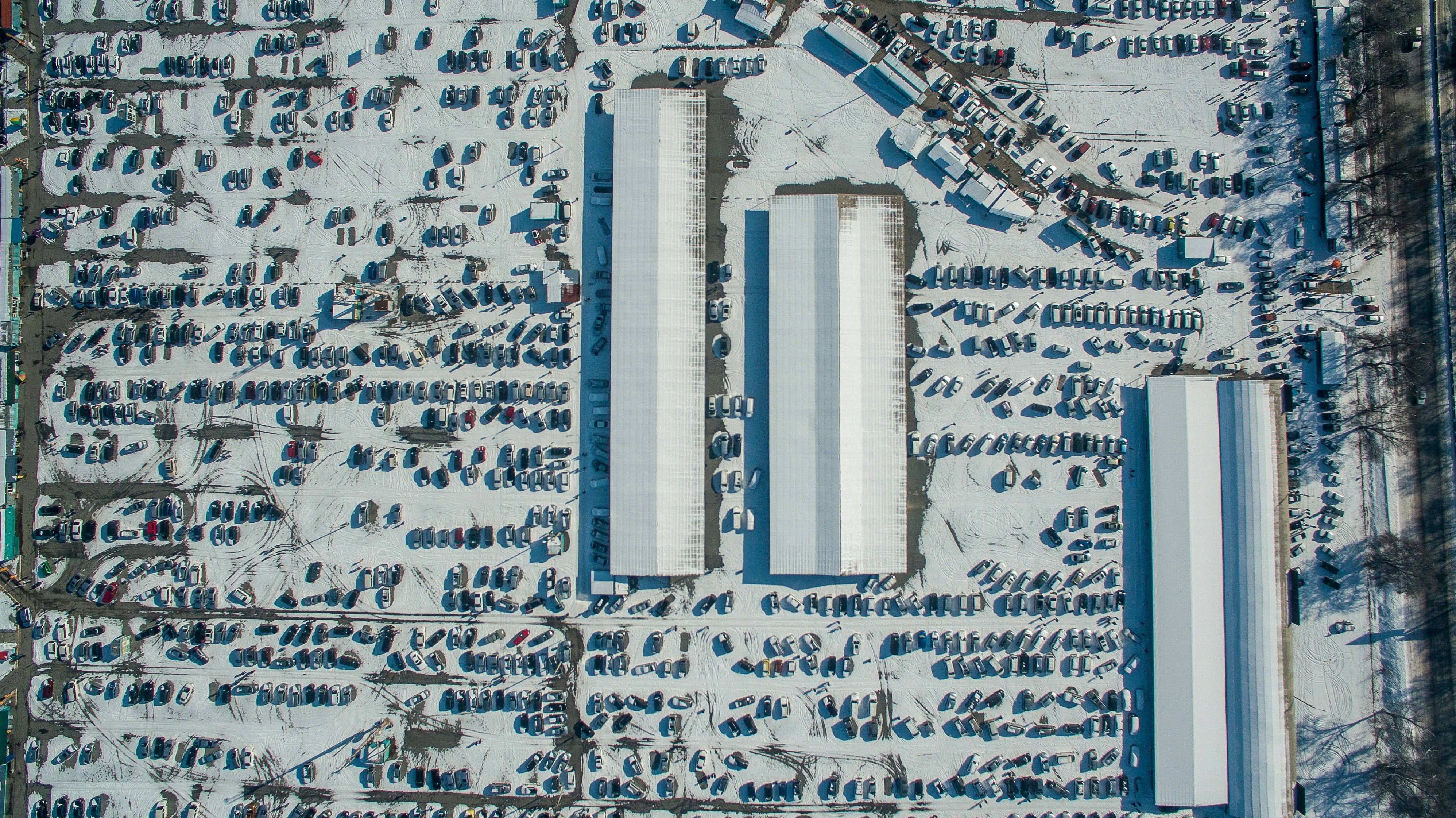 white and blue abstract painting