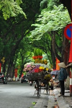 A bicycle loaded with vibrant flower bouquets stands on a sidewalk under lush green trees. The flowers include a colorful array of sunflowers, lilies, and other blooms. A person wearing a traditional conical hat is seen standing nearby, looking at the bicycle. The scene is set on a street with a few cars visible in the background, and the atmosphere is calm and serene.