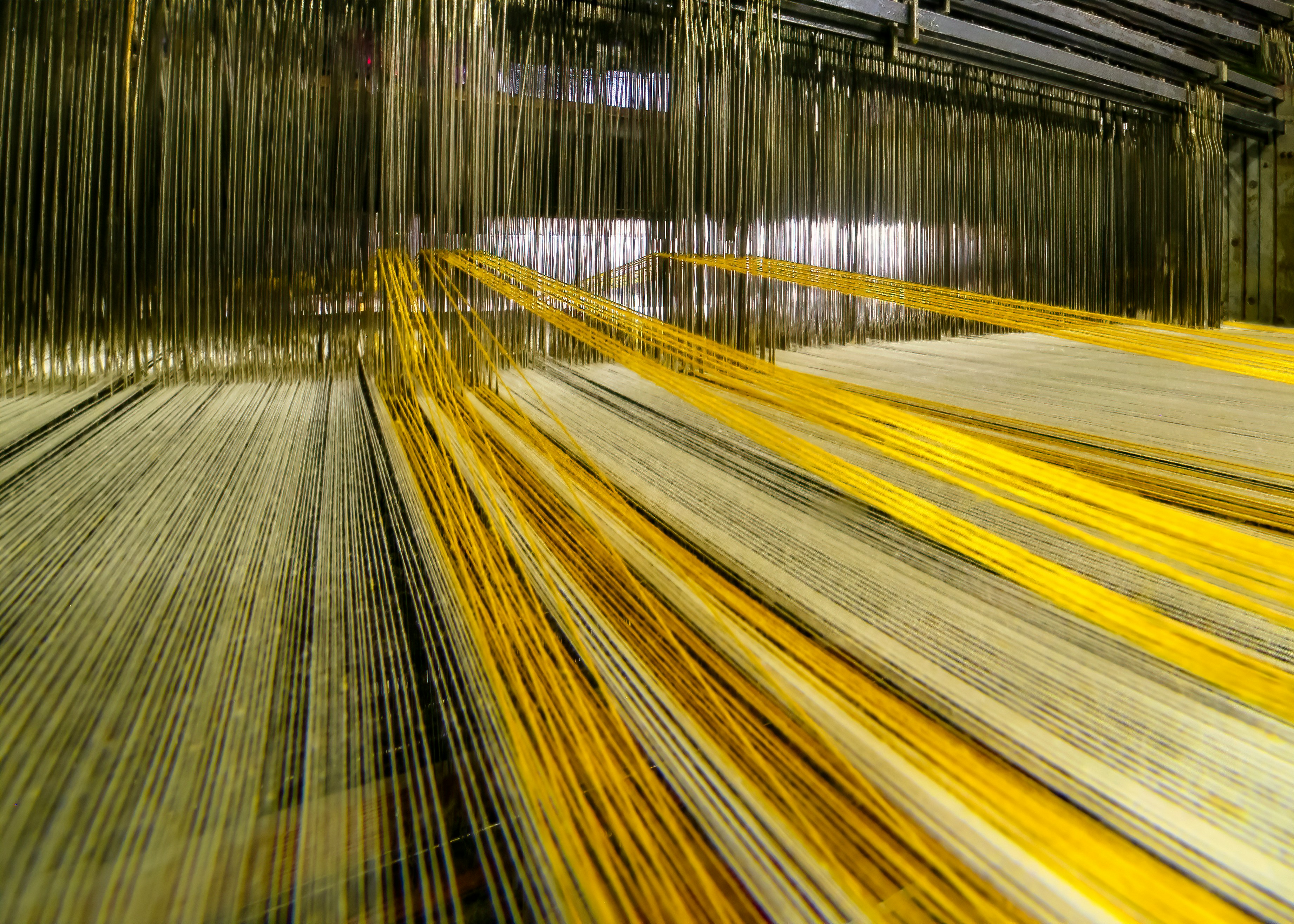 One Yard, Five Hands: Following Cotton Twill From the Field to Your Cutting Table