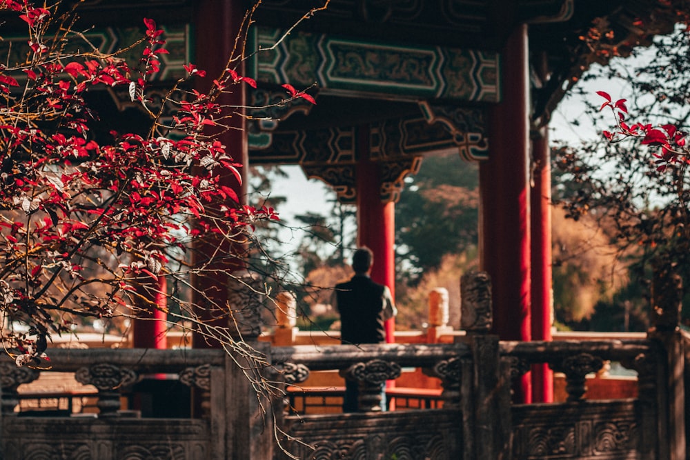 man and woman sitting on bench