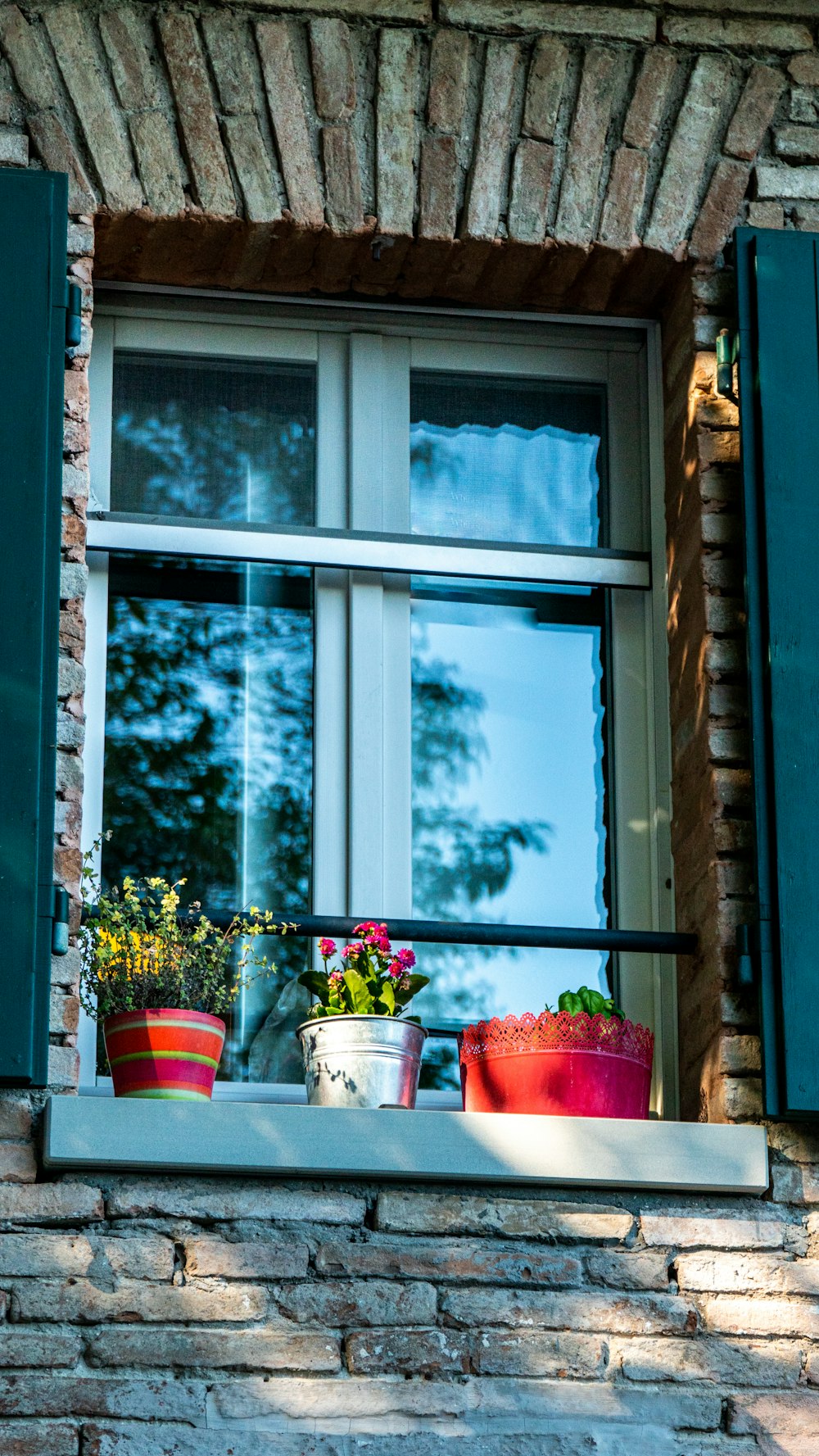 red and yellow flowers in white ceramic pots